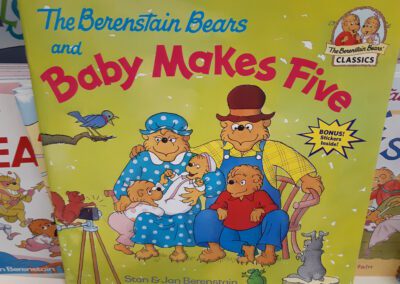The Berenstain Bears and Baby Make Five