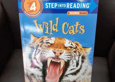 Wild Cats